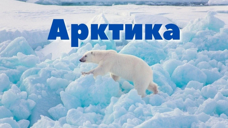 Всероссийский урок "Арктика".